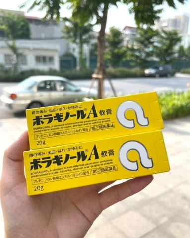 Thuốc Bôi Trĩ Chữ A Borraginol 20Gr Chính Hãng Nhật Bản