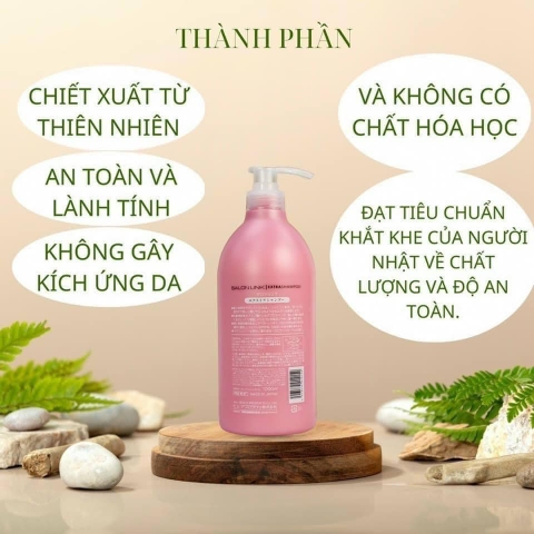 Bộ Gội xả Salonglink Nhật Bản mỗi chai 1000ml