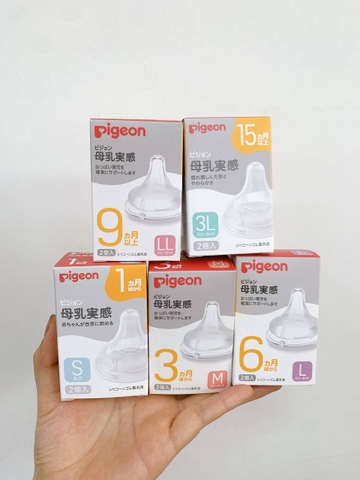 Núm Ti Pigeon Nội Địa Nhật Cổ Rộng hộp gồm 2 chiếc