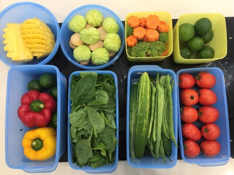 Set Mega 16 hộp Tupperware đựng thực phẩm ngăn đông, ngăn mát