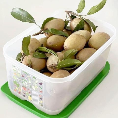 Sét 2 hộp đựng thực phẩm ngăn mát tupperware Vent 4.4L