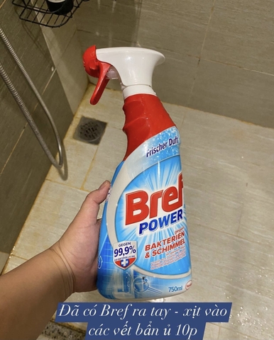 Tẩy nấm mốc Bref Đức