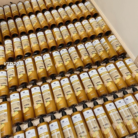 Cặp dầu gội xả gừng Thái Lan