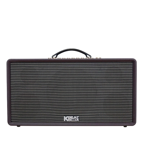 Loa Karaoke Di Động ACNOS Flac36 - 2Micro