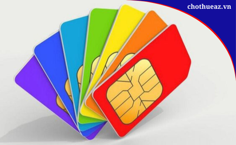 Du lịch nước ngoài: nên thuê Bộ phát Wifi quốc tế hay mua SIM du lịch?