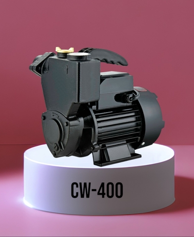Bơm chân không CW-400