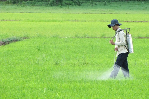 5 loại thuốc bảo vệ thực vật sinh học được tin dùng nhất hiện nay