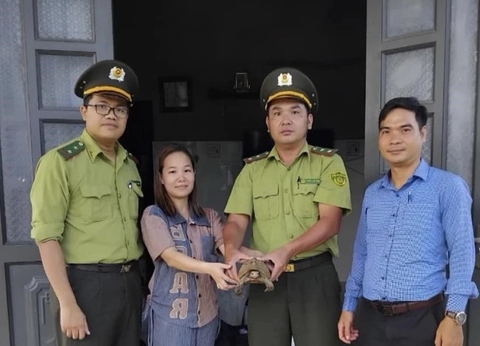 Thấy con động vật hoang dã đi lạc vào nhà, một người dân Thừa Thiên Huế bắt, giao nộp ngay cho kiểm lâm