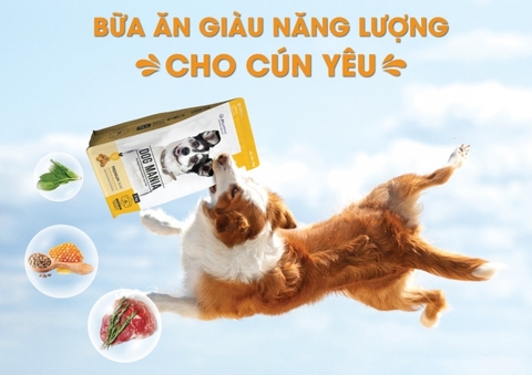 Thức ăn chó Dog Mania Premium 3kg