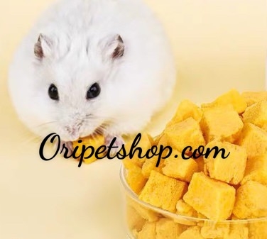 Lòng Đỏ Trứng Gà Sấy 500g ( Cho Hamter )