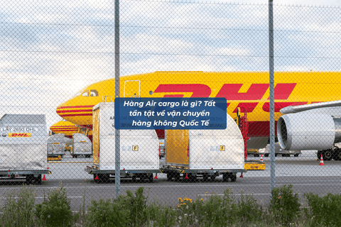 Hàng Air Cargo Là Gì? Tất Tần Tật Về Vận Chuyển Hàng Không Quốc Tế
