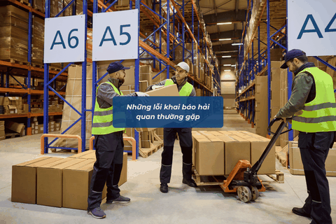 Những Lỗi Khai Báo Hải Quan Thường Gặp Và Cách Phòng Tránh Hiệu Quả