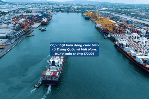 Cập nhật biến động giá cước biển từ các cảng Trung Quốc về Việt Nam trung tuần tháng 5/2026