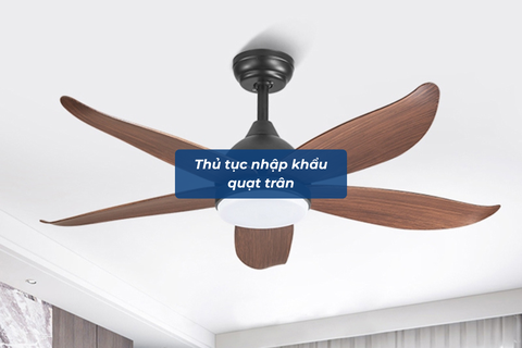 Thủ tục nhập khẩu quạt trần 2026: Hướng dẫn chi tiết và những lỗi cần tránh