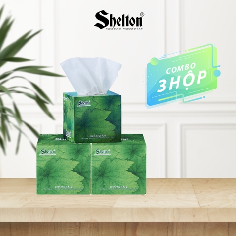 Khăn hộp vuông Shelton Lá xanh 120 tờ x 2 lớp