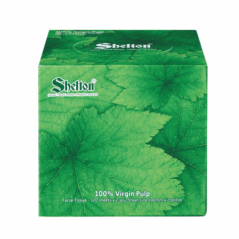 Khăn hộp vuông Shelton Lá xanh 120 tờ x 2 lớp