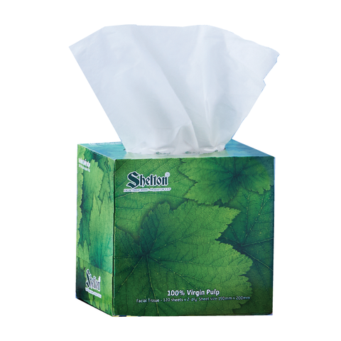 Khăn hộp vuông Shelton Lá xanh 120 tờ x 2 lớp