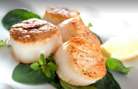 Cồi sò điệp Hotate (Size S) - Hộp 1Kg