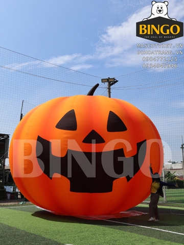 Mô Hình Hơi Bí Đỏ Khổng Lồ 6m 1 Lớp