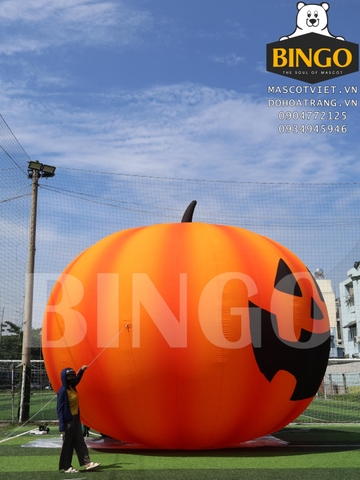 Mô Hình Hơi Bí Đỏ Khổng Lồ 6m 1 Lớp