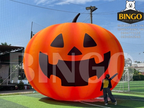 Mô Hình Hơi Bí Đỏ Khổng Lồ 6m 1 Lớp