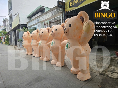 Mô Hình Hơi Gấu An Nông