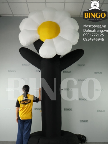 Mô Hình Hơi Hoa Cúc Khổng Lồ 3m5