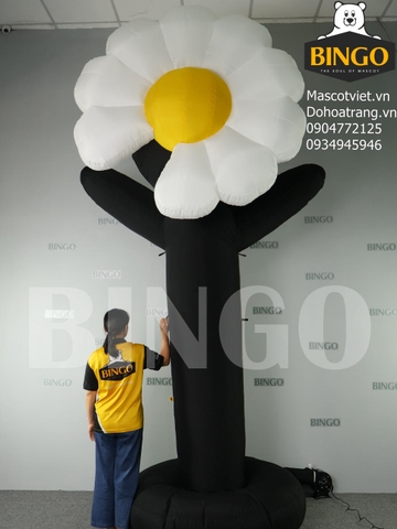 Mô Hình Hơi Hoa Cúc Khổng Lồ 3m5