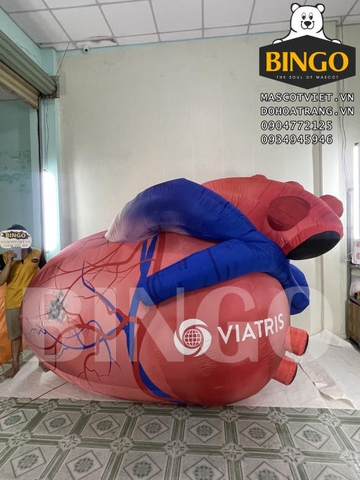 Mô hình hơi trái tim VIATRIS
