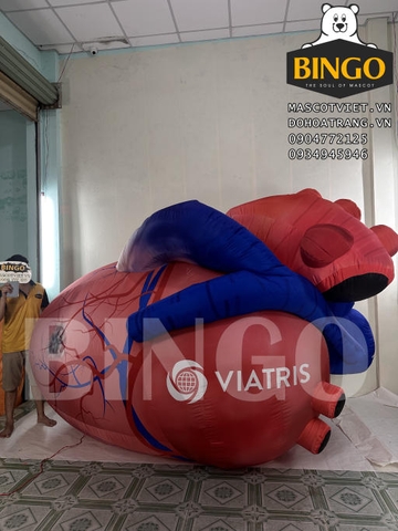 Mô hình hơi trái tim VIATRIS