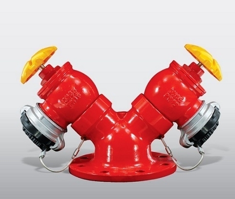 Họng tiếp nước chữa cháy 2 Cửa D65