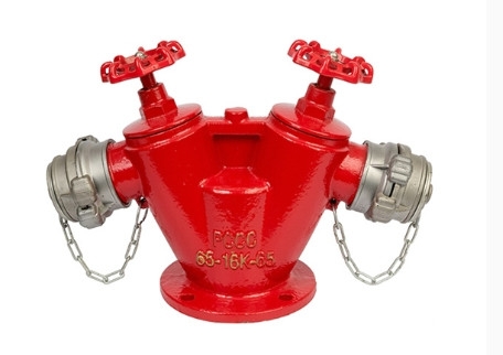 Trụ chữa cháy 2 cửa