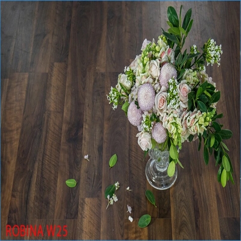 Sàn gỗ Robina