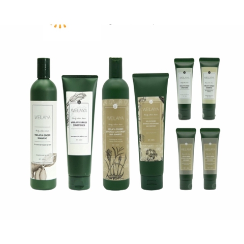 Dầu Gội Gừng Xanh Hà Thủ Ô Ngăn Rụng Tóc, Kích Mọc Tóc 400ml