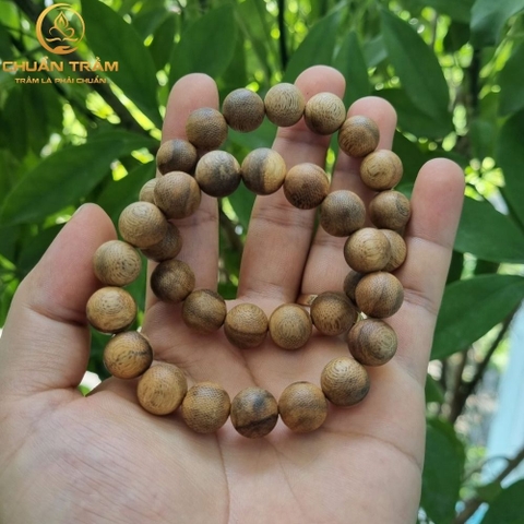 Trầm hương tốc xí là gi?