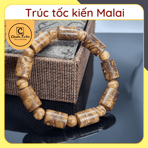Vòng Tay Trầm Hương Trúc Tốc kiến Mailai tự nhiên Chuẩn Trầm