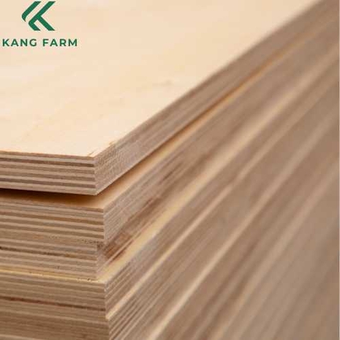 Commercial Plywood