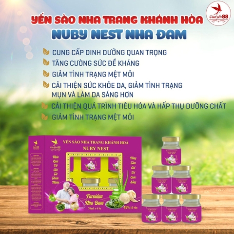 NUBY NEST FUCOIDAN NHA ĐAM 45% tổ yến
