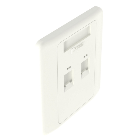 Mặt nạ mạng 2 cổng Panduit NKFPL86F2SAW NetKey 86x86 trắng – giá đại lý