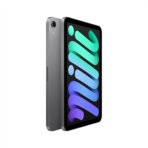 iPad mini (A17 Pro) Wi-Fi 128GB/XÁM (SPACE GRAY) (MXN63ZA/A)