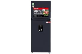 Tủ lạnh Toshiba 311 Lít Inventer GR-RT395WE-PMV(06)-MG