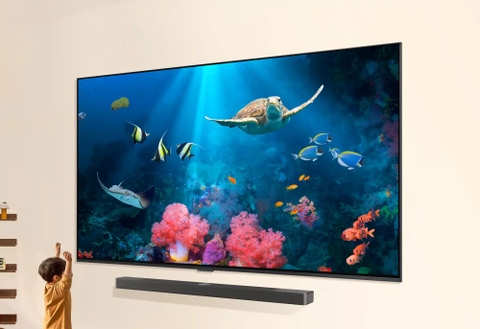 SMART TV LG 100 inch QNED EVO 4K Mini-LED 100QNED86AS (2025)