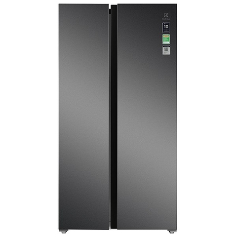 Tủ lạnh Electrolux Inverter 624 Lít ESE6600A-AVN
