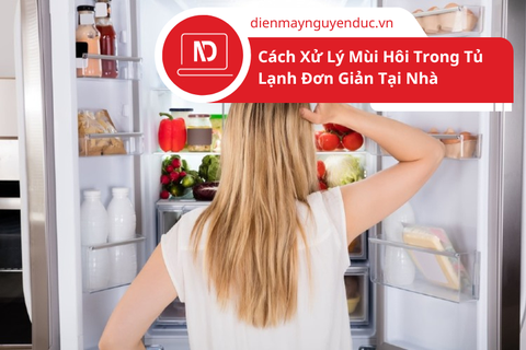 Cách Xử Lý Mùi Hôi Trong Tủ Lạnh Đơn Giản Tại Nhà