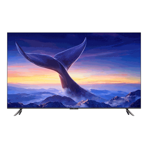 Redmi Max 100 inch