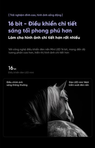 Tivi Xiaomi S Pro Mini LED 100 inch 2025 – Tần số 240Hz/4G+64G/ Chip XM9000/3000nits