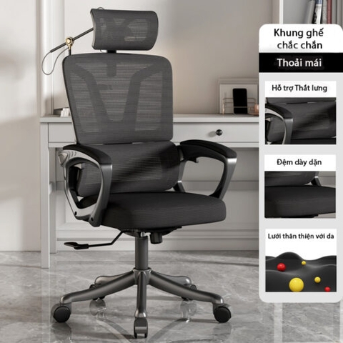 Ghế Công Thái Học Cao Cấp TMS08