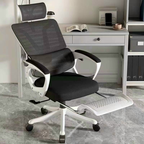 Ghế Công Thái Học Cao Cấp TMS08