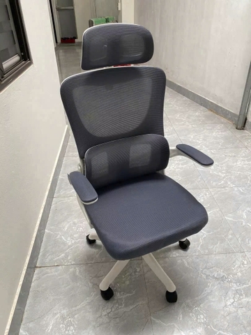 Ghế Công Thái Học Giá Rẻ CTH418