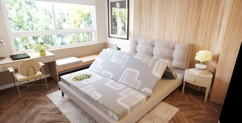 NỆM KIM CƯƠNG EUCOCO XƠ DỬA THIÊN NHIÊN VẢI GẤM XỐP GẤM 3 BH 12 NĂM